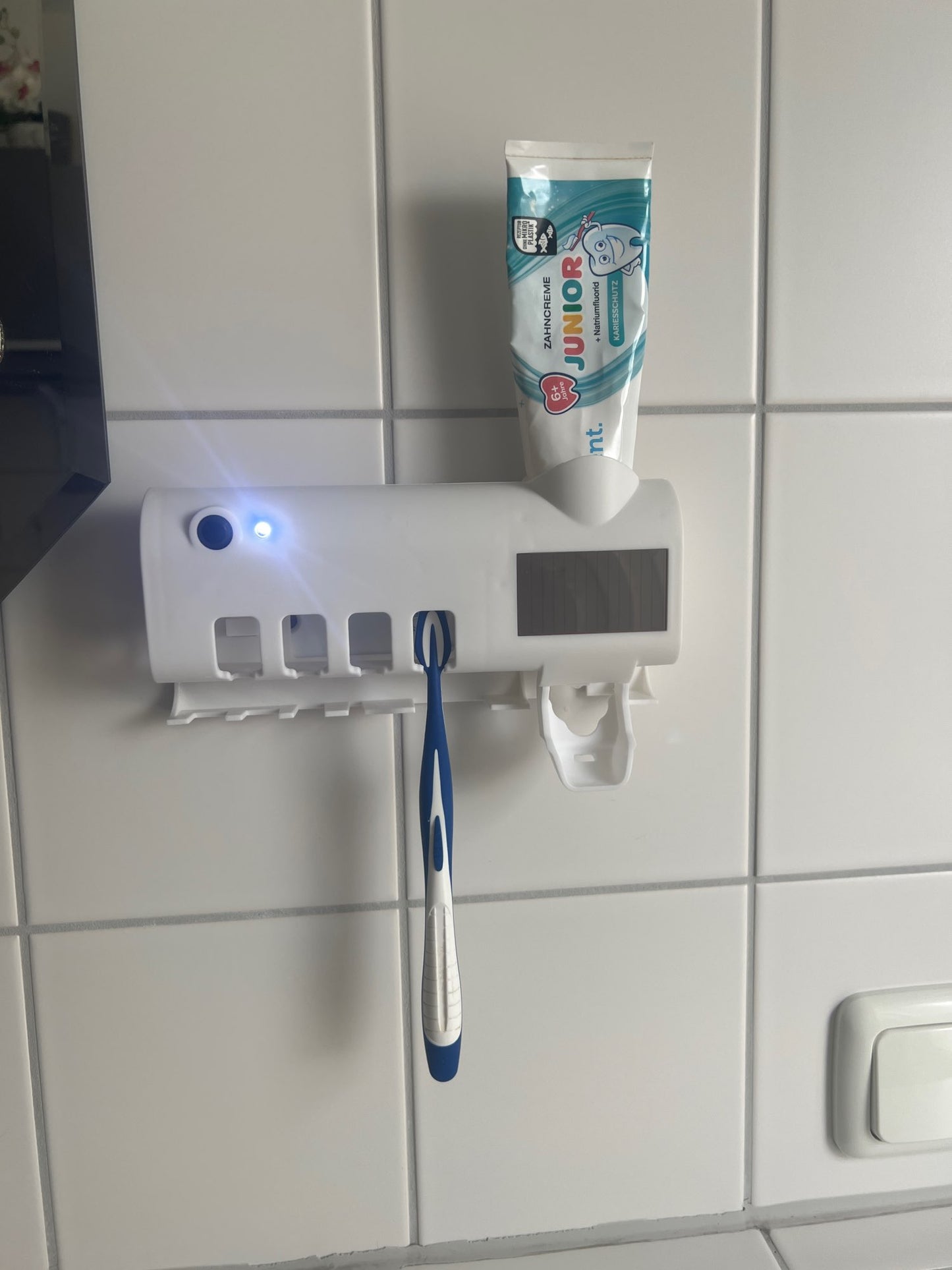 Esterilizador de Cepillos